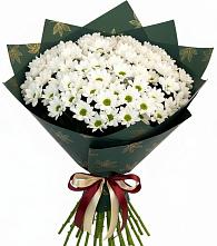 Букет цветов из:  Хризантемы #REPLACE_PRED# Новый Городок Щелковского района